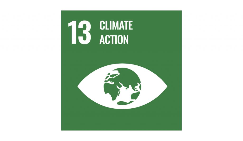 Sustainable Development Goals. Goal 13 - Climate Action